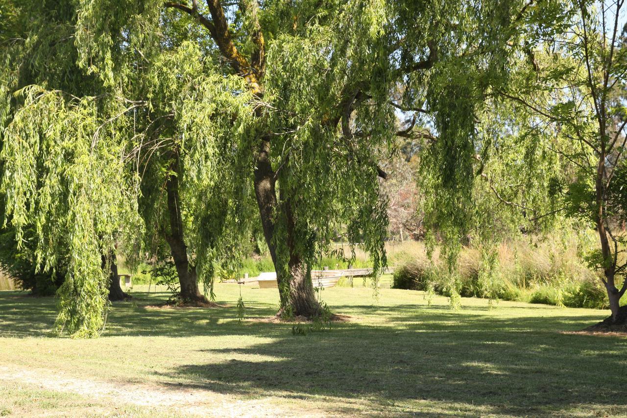 Little Lake Cottage Nyora Camera foto