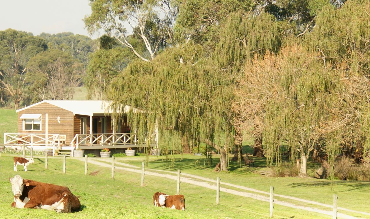 Little Lake Cottage Nyora Esterno foto